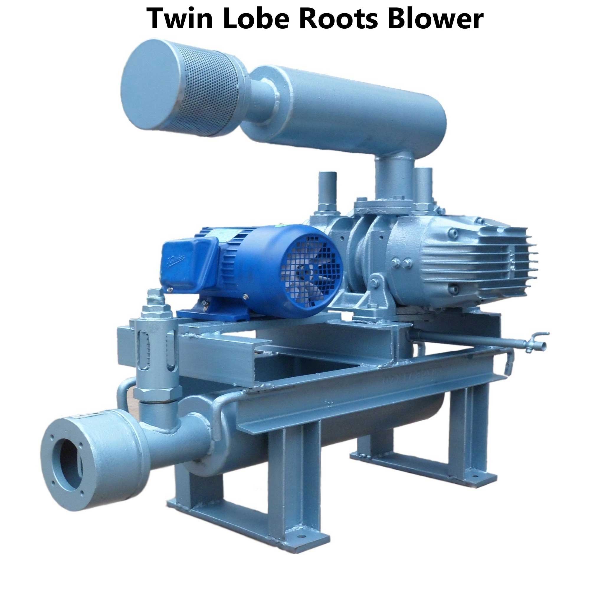 Roots Blower